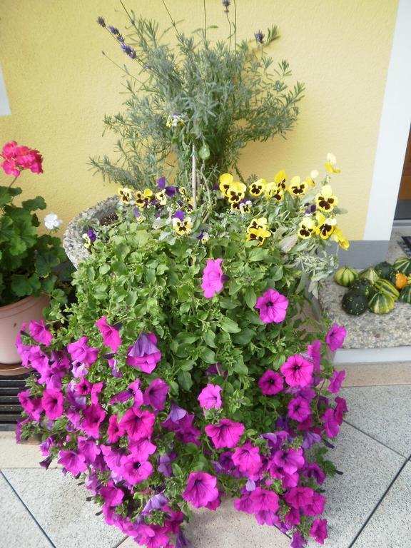 Haus Vordertiefenbach Hotel Wagrain Exterior foto